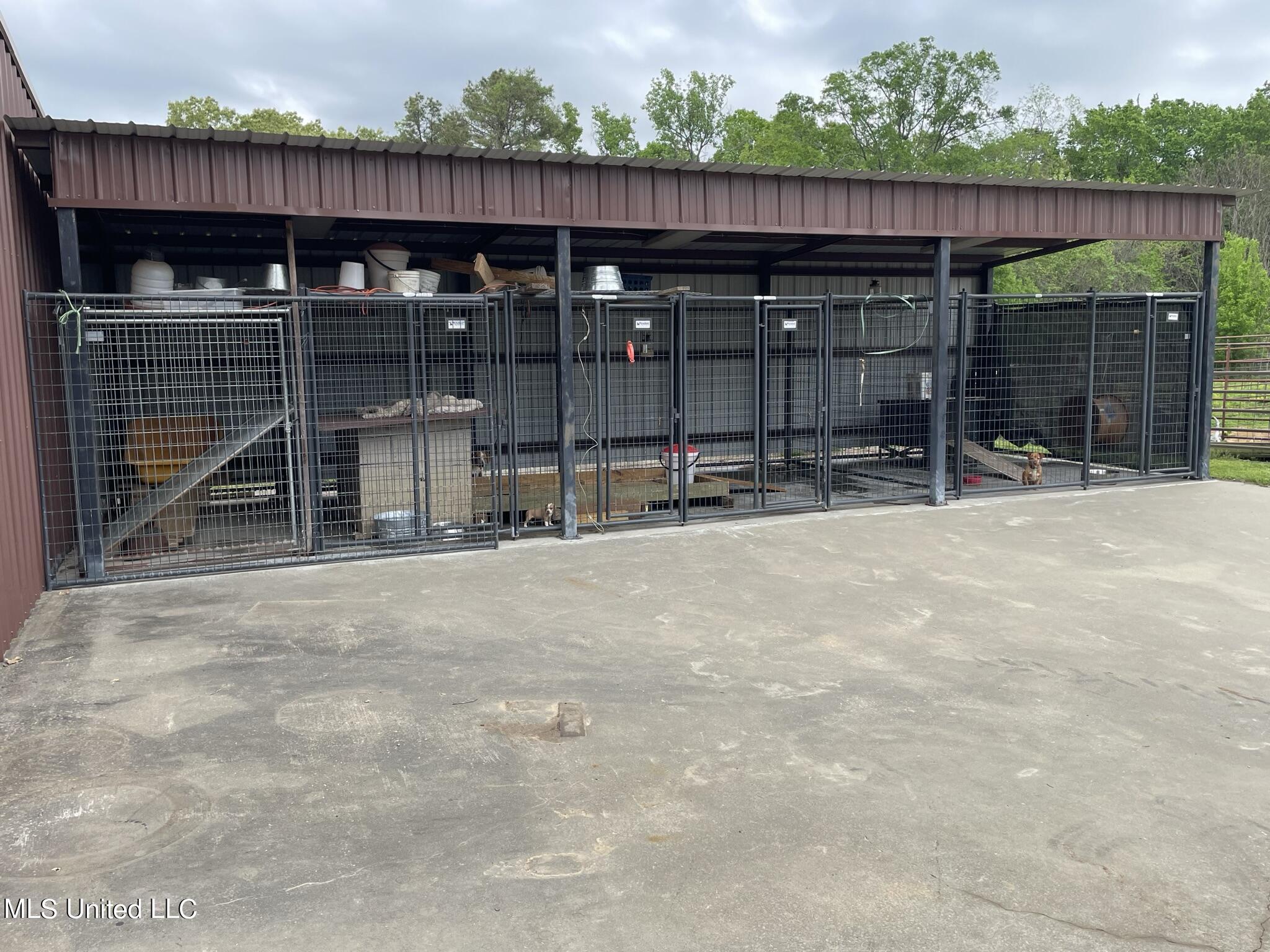 9767 Rosebank Mt Olive Road Lexington, MS 39095 - Photo 24 of 36 35 ac concrete dog run