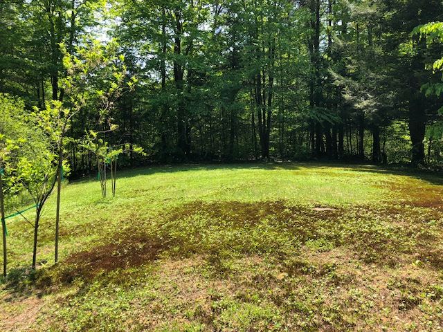 107 Browns Road Newfane, VT 05345 - Photo 24 of 30