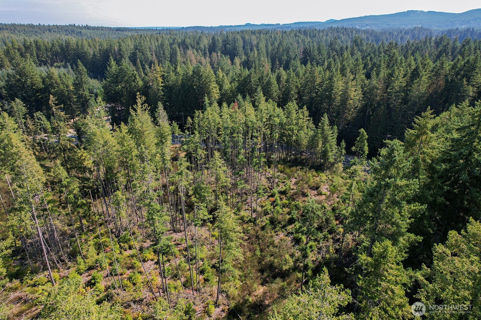 3 Holly Road Northwest Bremerton, WA 98312 - Photo 13 of 17