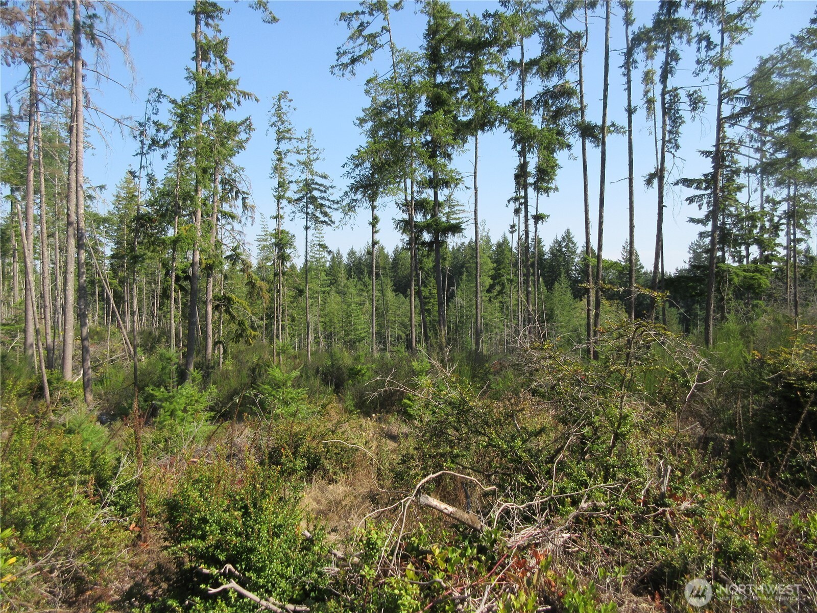 3 Holly Road Northwest Bremerton, WA 98312 - Photo 16 of 17