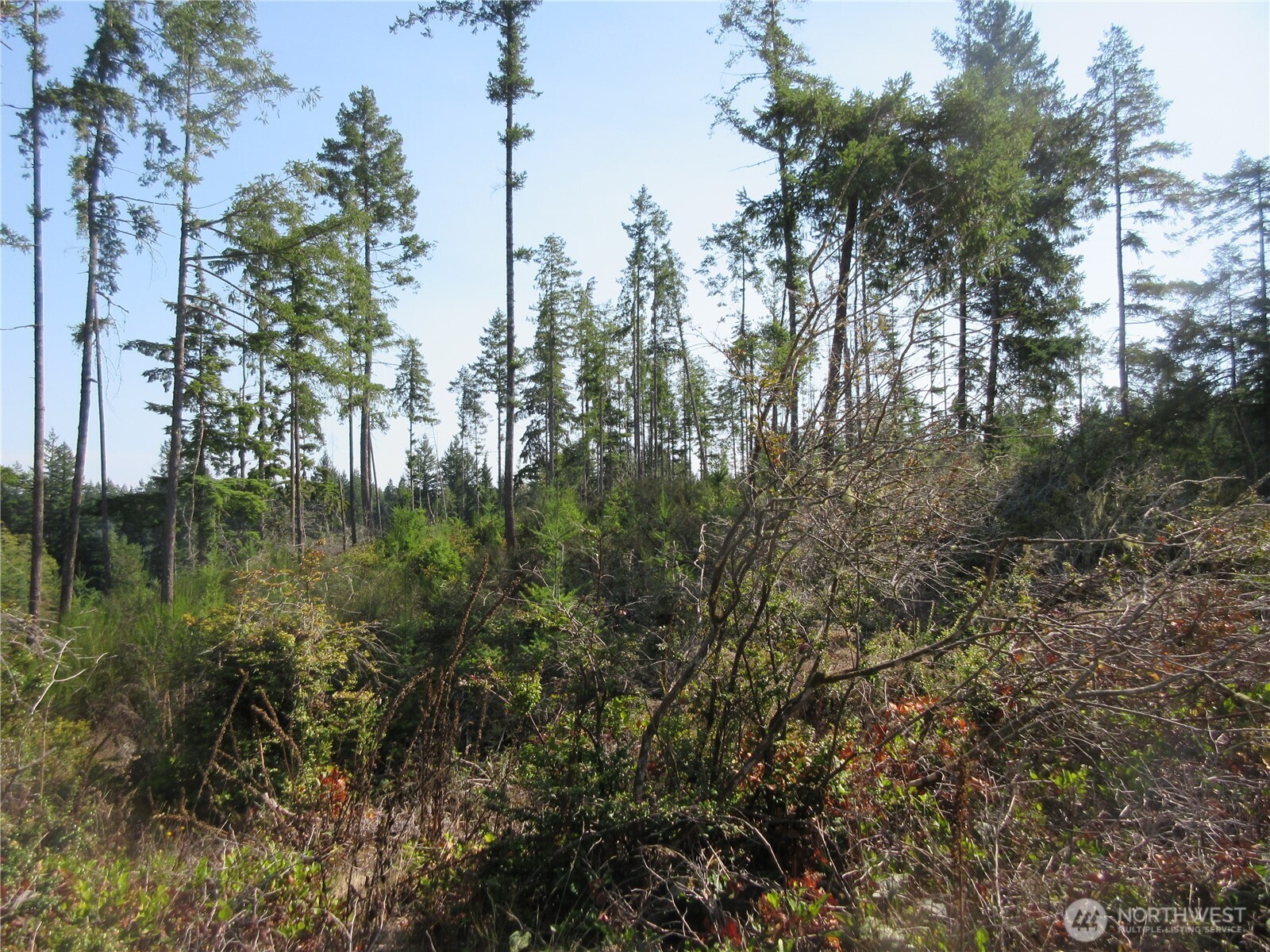 3 Holly Road Northwest Bremerton, WA 98312 - Photo 17 of 17