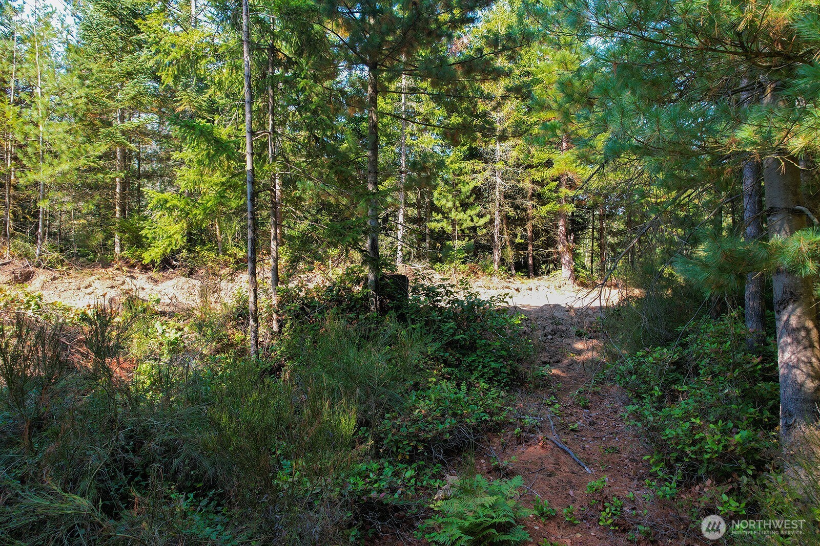 3 Holly Road Northwest Bremerton, WA 98312 - Photo 5 of 17