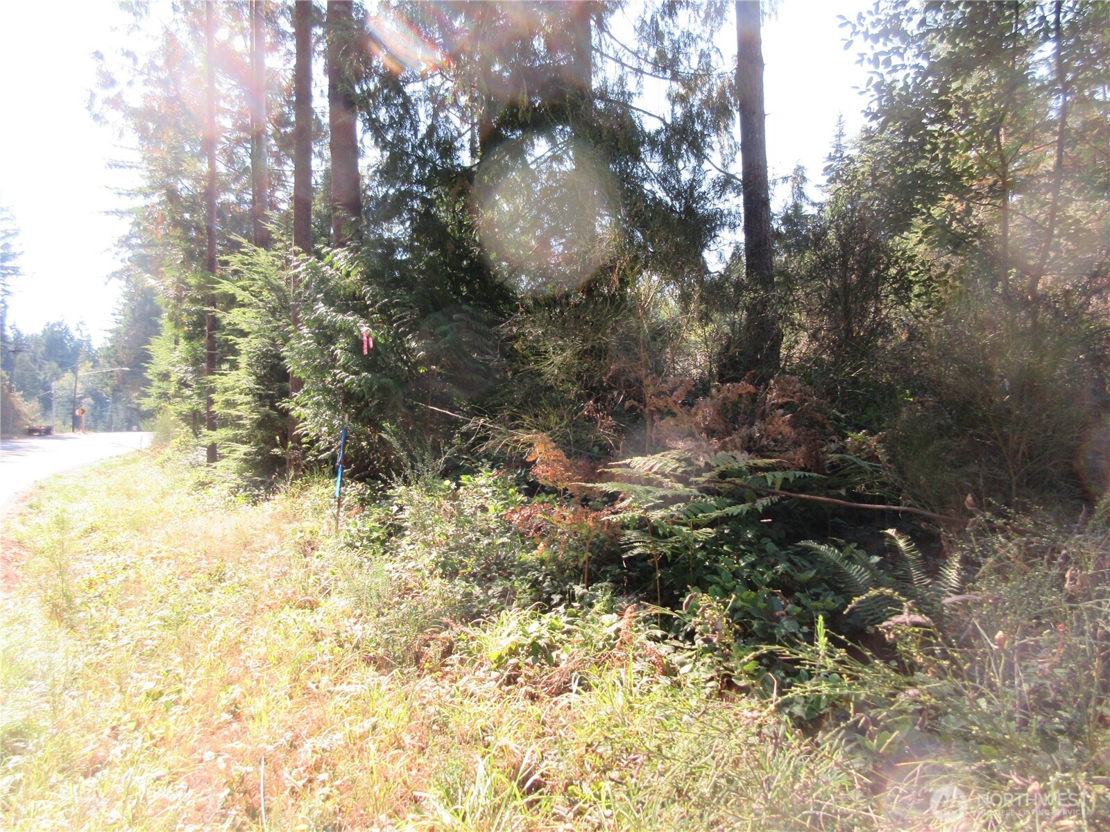 3 Holly Road Northwest Bremerton, WA 98312 - Photo 6 of 17