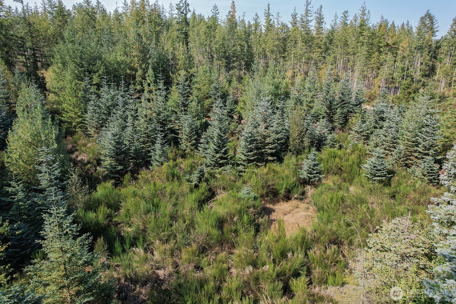 3 Holly Road Northwest Bremerton, WA 98312 - Photo 9 of 17