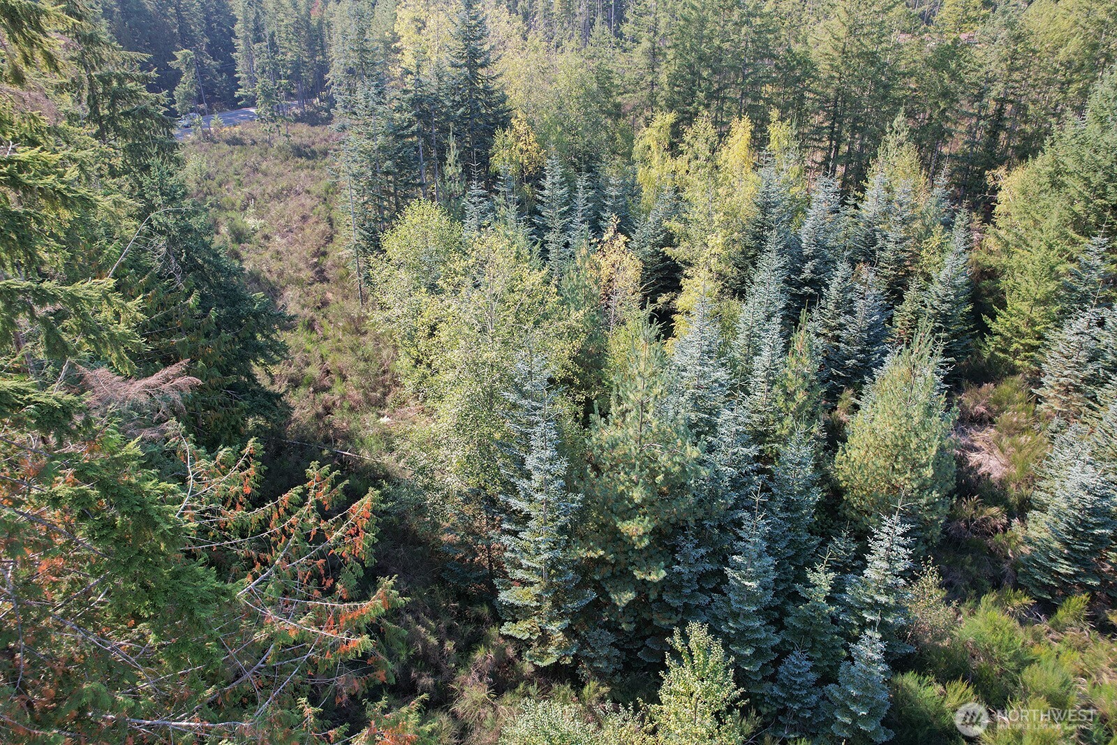 3 Holly Road Northwest Bremerton, WA 98312 - Photo 10 of 17