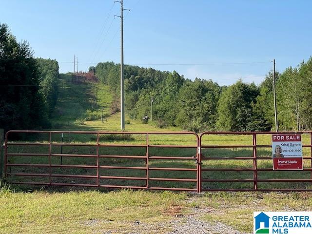 830 Whitson Road Munford, AL 36268 - Photo 3 of 3
