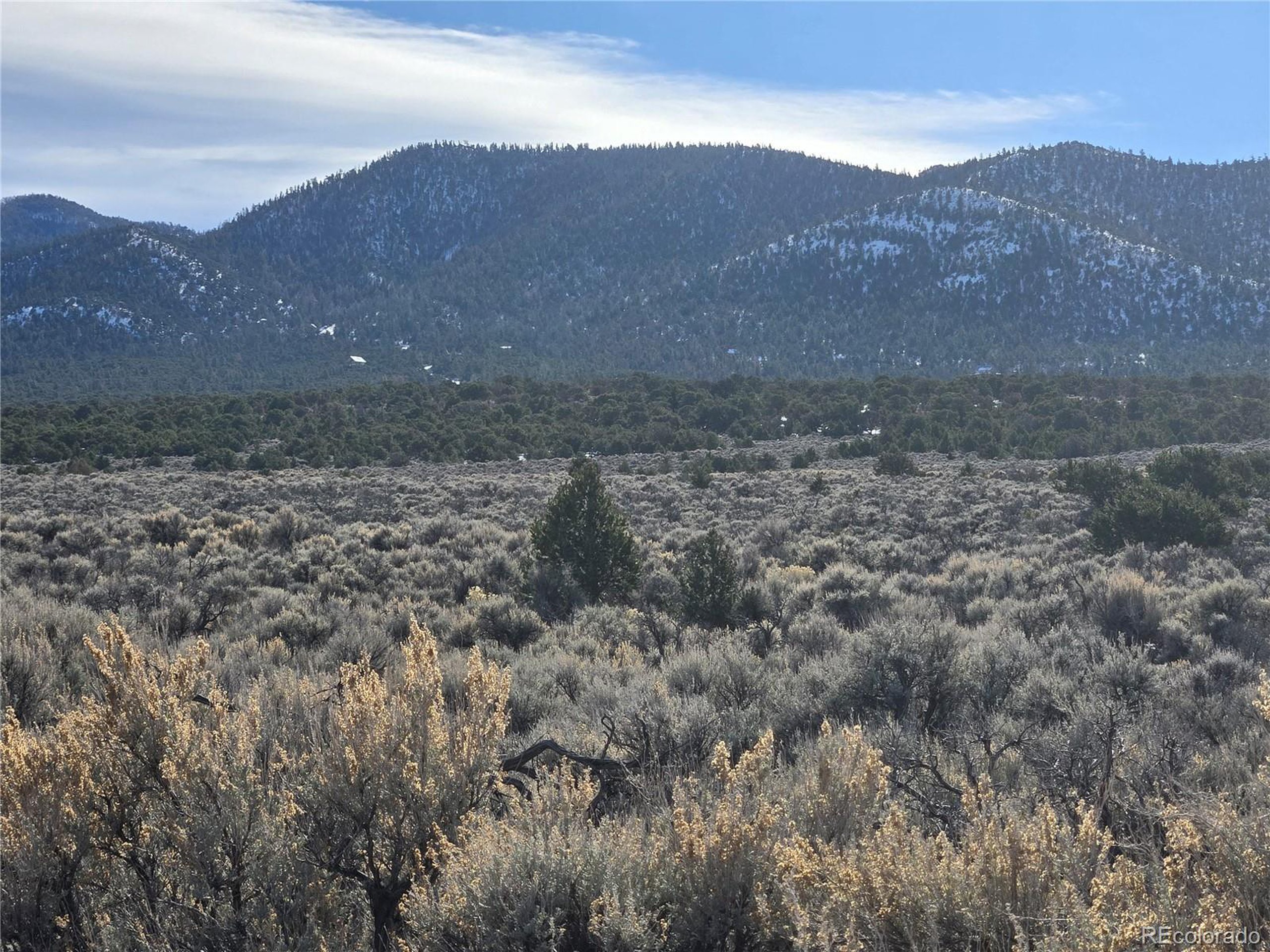 1978 Yablin Road Fort Garland, CO 81133 - Photo 3 of 7 a view of a dry yard with mountains in the background