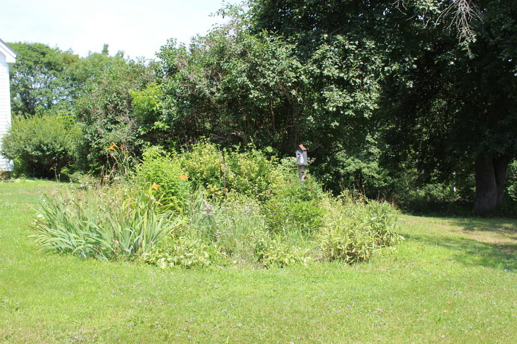 11 Shepard Road Belfast, ME 04915 - Photo 9 of 36 IMG_0533