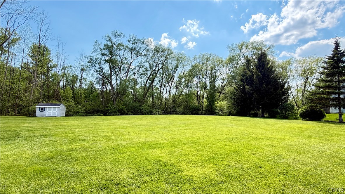 6232 Alabama Path Cicero, NY 13039 - Photo 3 of 11