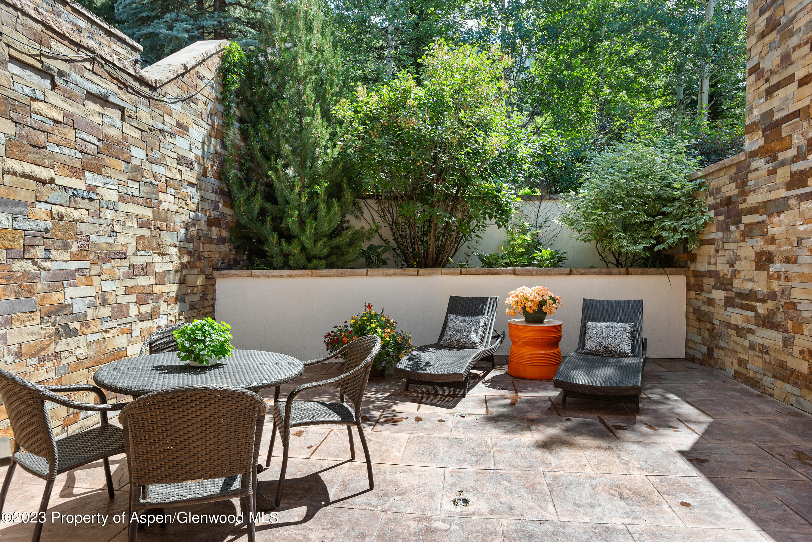 138 West Lupine Drive Aspen, CO 81611 - Photo 7 of 24 a view of outdoor space with seating