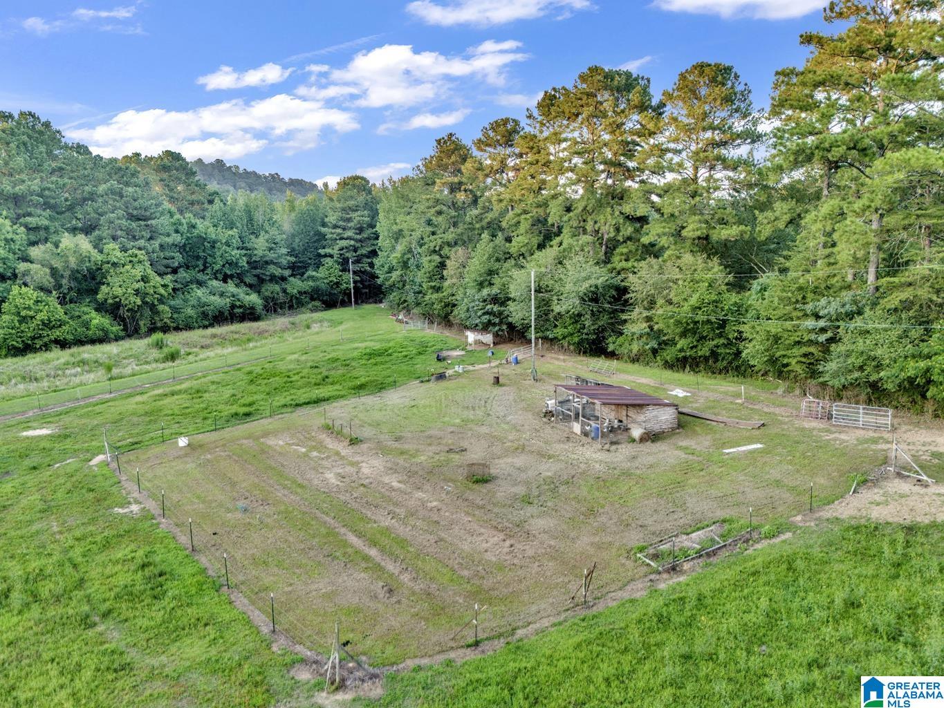 310 Mack James Road Empire, AL 35063 - Photo 12 of 31 Gallery Image 12