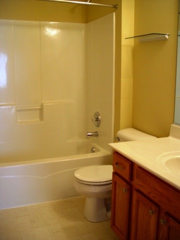 24136 Walnut Circle Plainfield, IL 60585 - Photo 14 of 17 a bathroom with a sink a toilet and shower