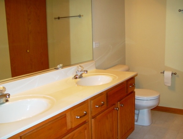 24136 Walnut Circle Plainfield, IL 60585 - Photo 17 of 17 a bathroom with a sink and a mirror