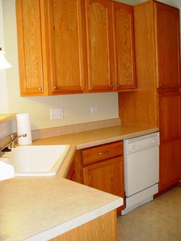 24136 Walnut Circle Plainfield, IL 60585 - Photo 9 of 17 a kitchen with a sink and cabinets