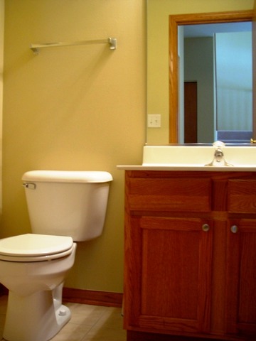 24136 Walnut Circle Plainfield, IL 60585 - Photo 10 of 17 a bathroom with a toilet and a sink