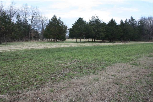 0 Asbury Road Murfreesboro, TN 37129 - Photo 2 of 18