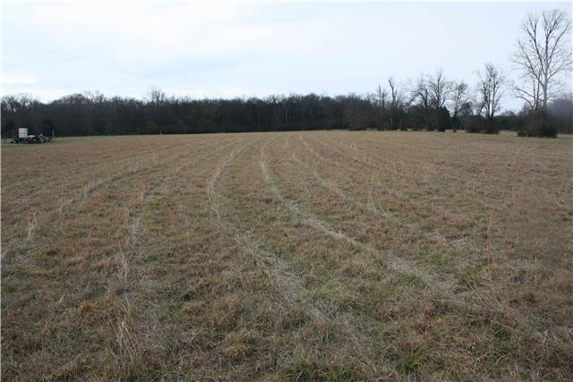 0 Asbury Road Murfreesboro, TN 37129 - Photo 11 of 18