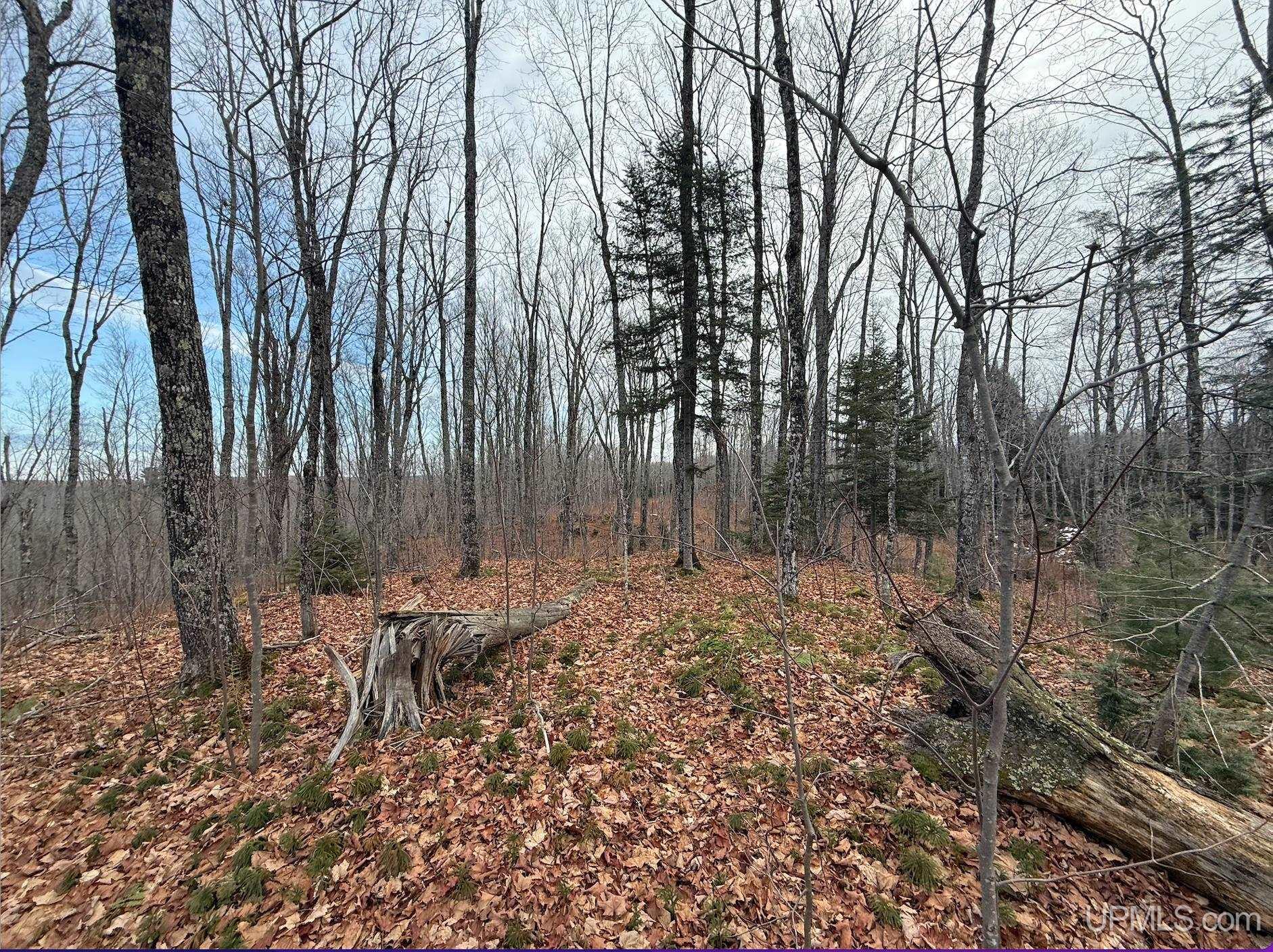 2 Track Road Champion, MI 49814 - Photo 5 of 9