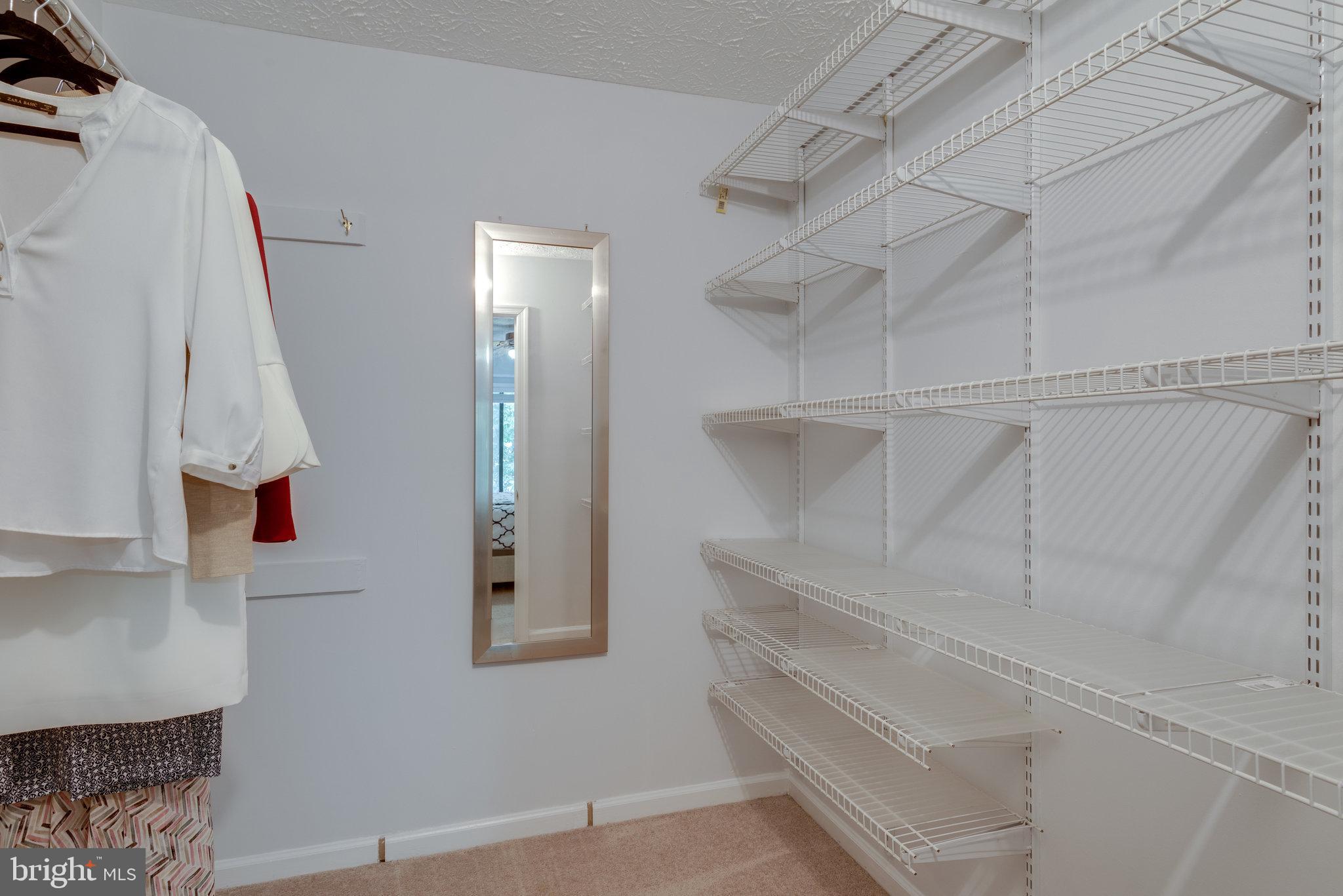 2247 Hunter's Run Drive Reston, VA 20191 - Photo 17 of 42 walk in closet