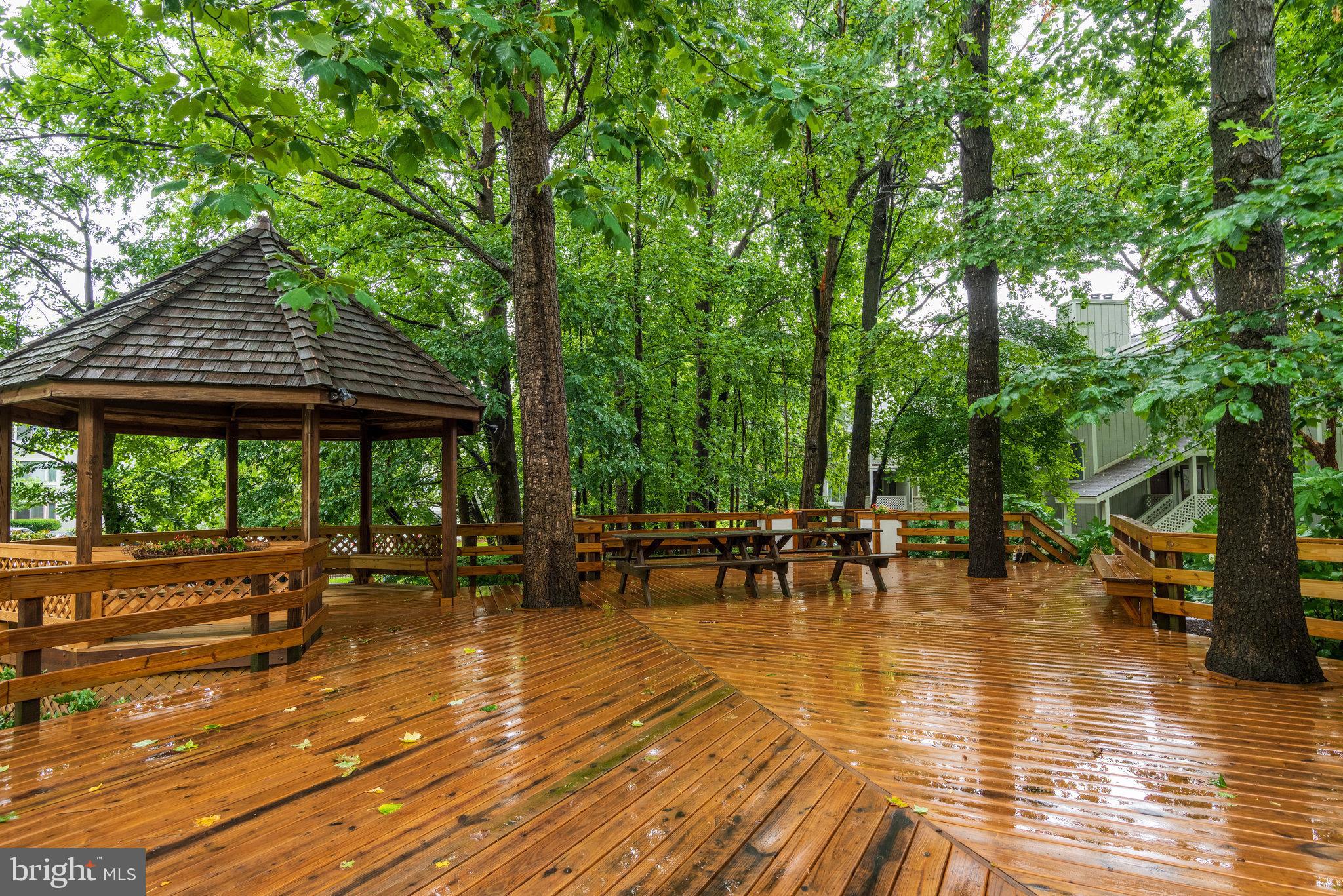 2247 Hunter's Run Drive Reston, VA 20191 - Photo 28 of 42 Gallery Image 28
