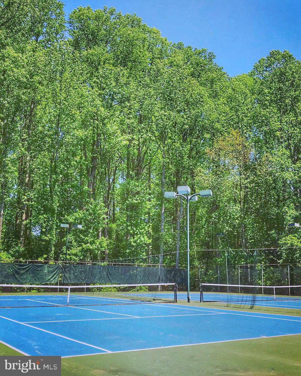 2247 Hunter's Run Drive Reston, VA 20191 - Photo 39 of 42 Reston Association community tennis court