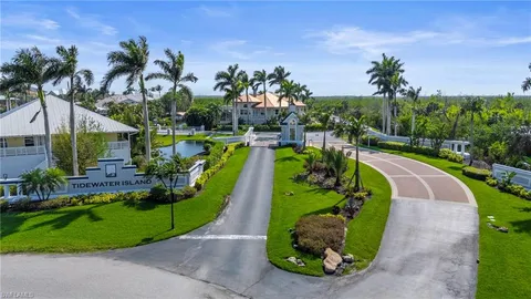 a view of a swimming pool with a garden and plants