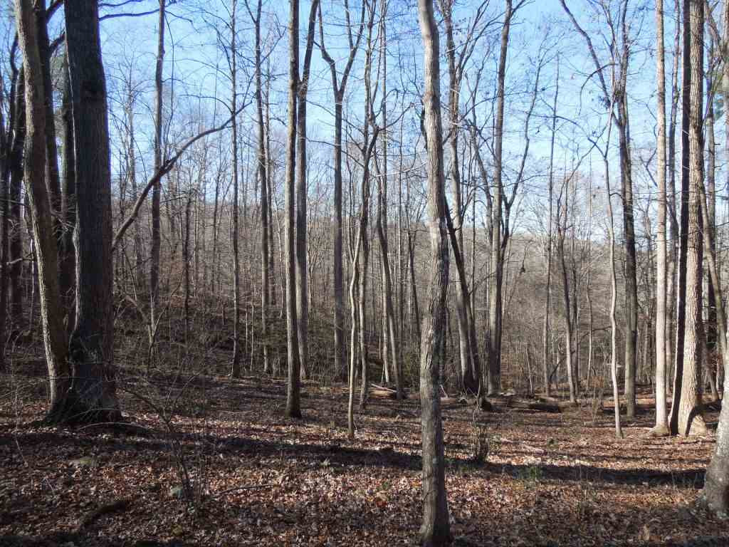 Eddie Perry Road Pittsboro, NC 27312 - Photo 12 of 12 Photo 12