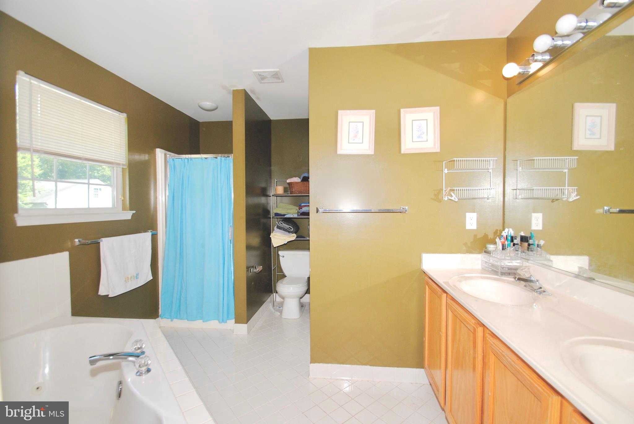705 Ruthsburg Road Centreville, MD 21617 - Photo 11 of 24 LARGE MASTER BATHROOM