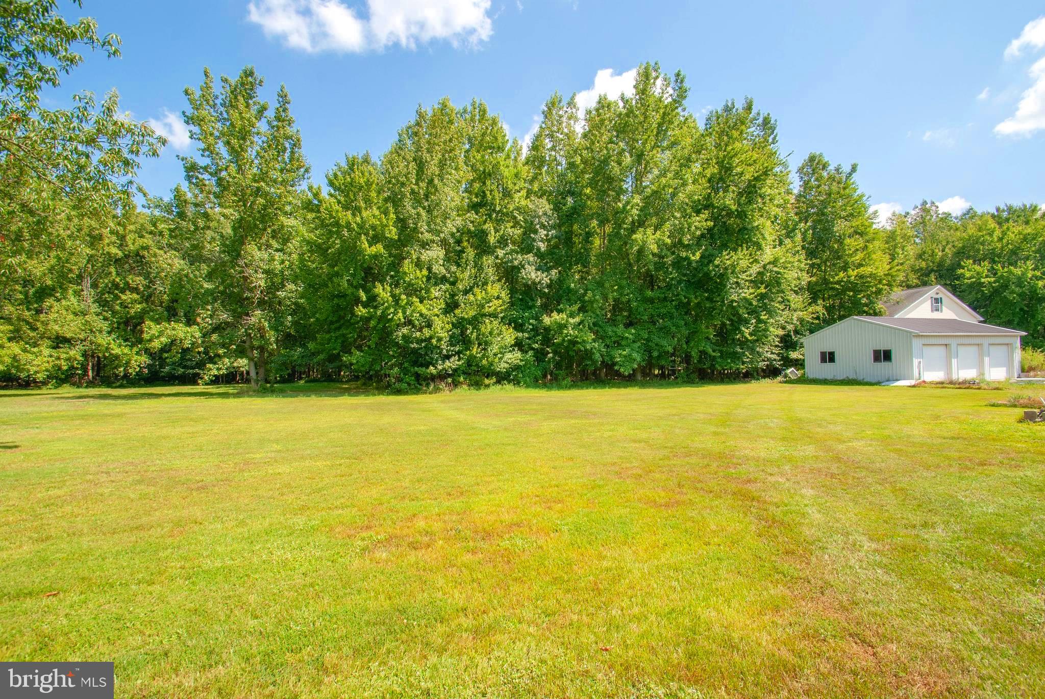 705 Ruthsburg Road Centreville, MD 21617 - Photo 21 of 24 ACRES OF PROPERTY TO ENJOY & USE