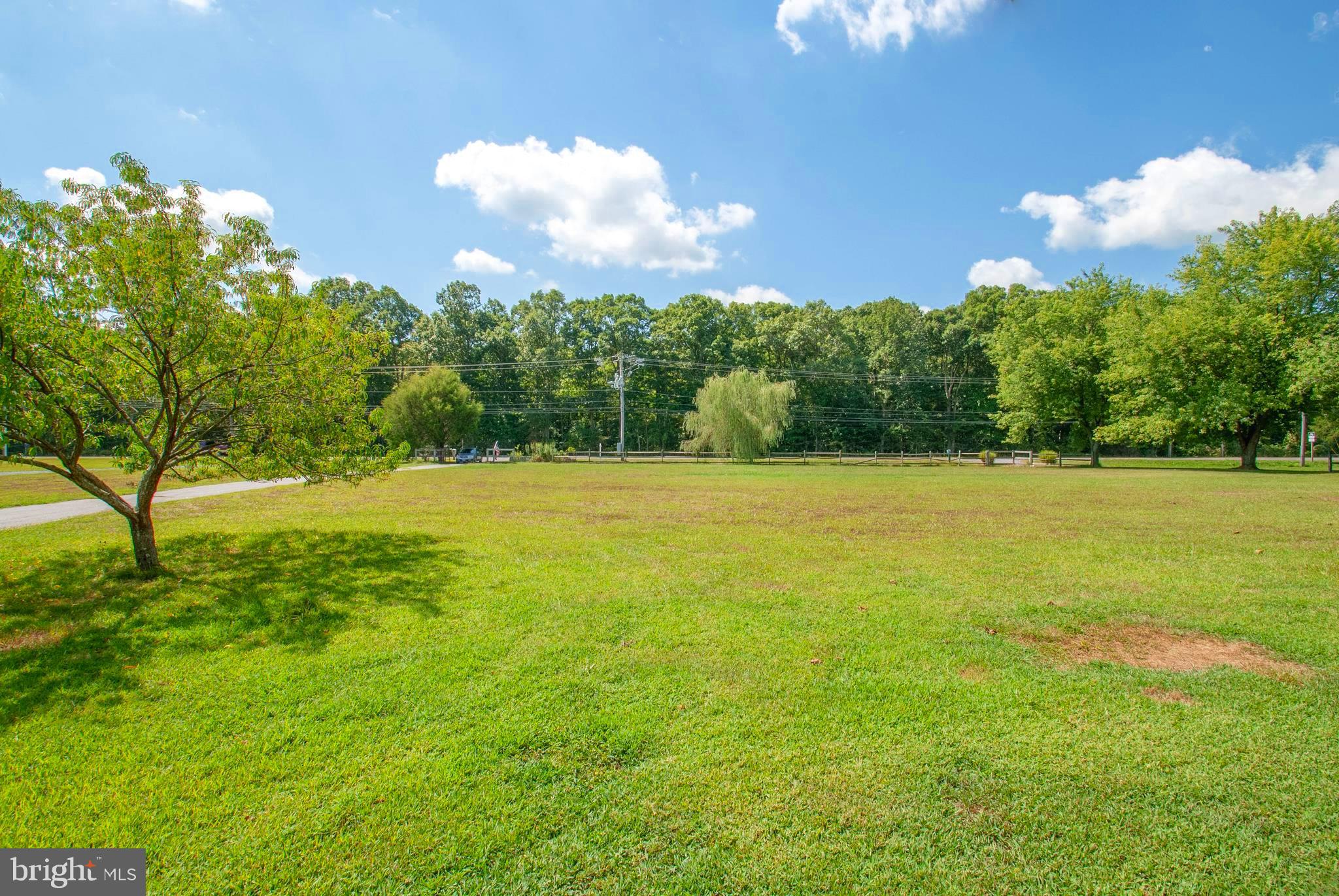 705 Ruthsburg Road Centreville, MD 21617 - Photo 23 of 24 MOSTLY OPEN ACREAGE