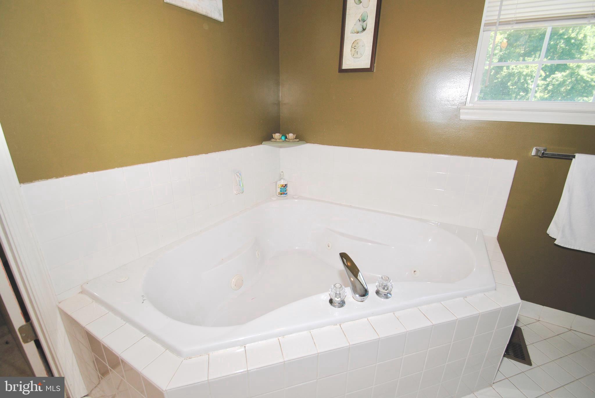 705 Ruthsburg Road Centreville, MD 21617 - Photo 10 of 24 MASTER BATHROOM SOAKING TUB