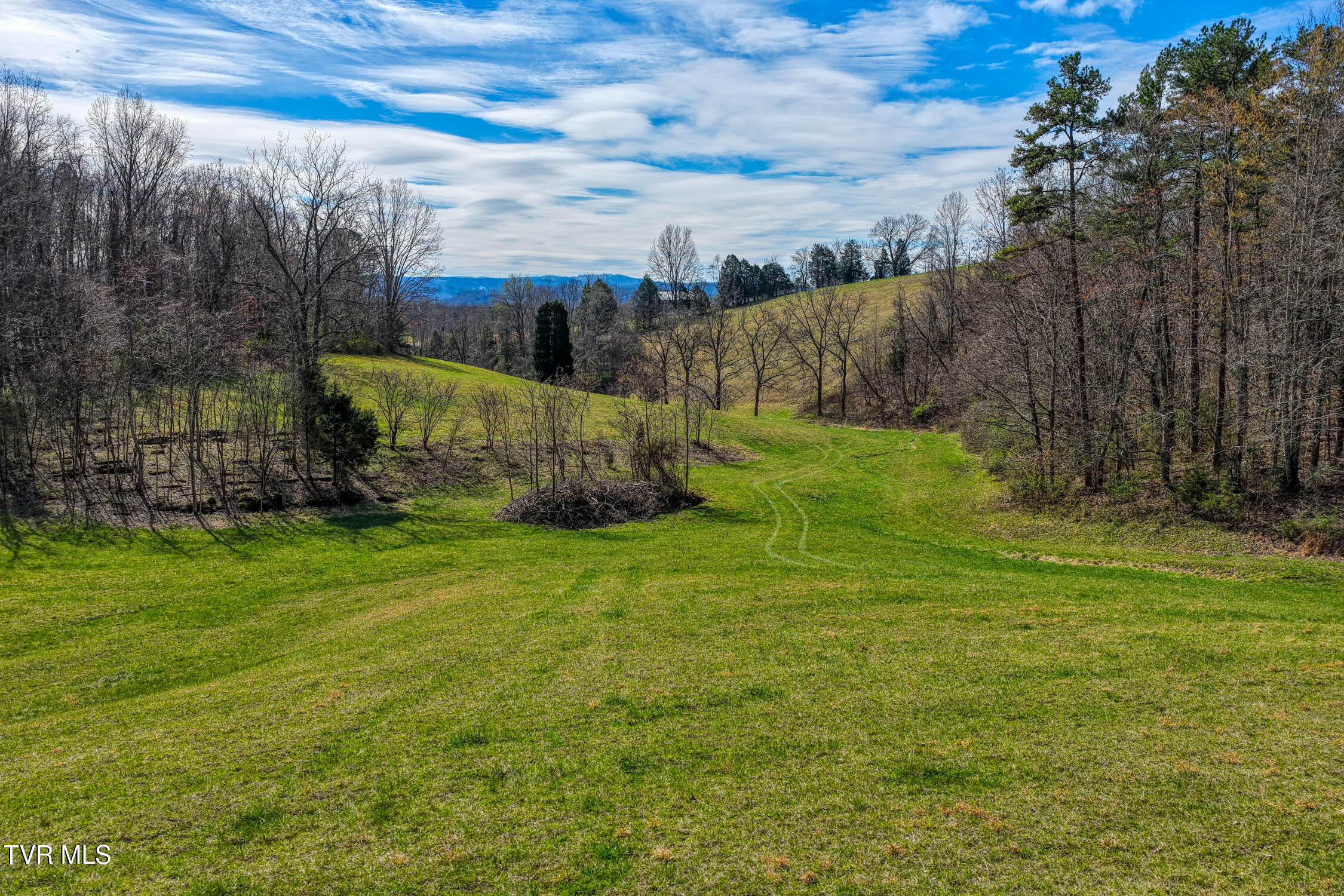 271 Willis Road Rogersville, TN 37857 - Photo 27 of 113 271 Willis Rd. Rog MLSa (29 of 50)