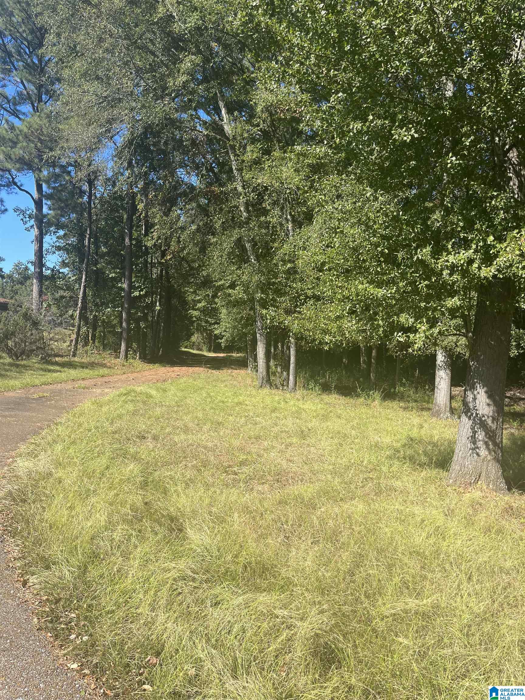 0 Olney Road, Unit 1 Aliceville, AL 35442 - Photo 2 of 5