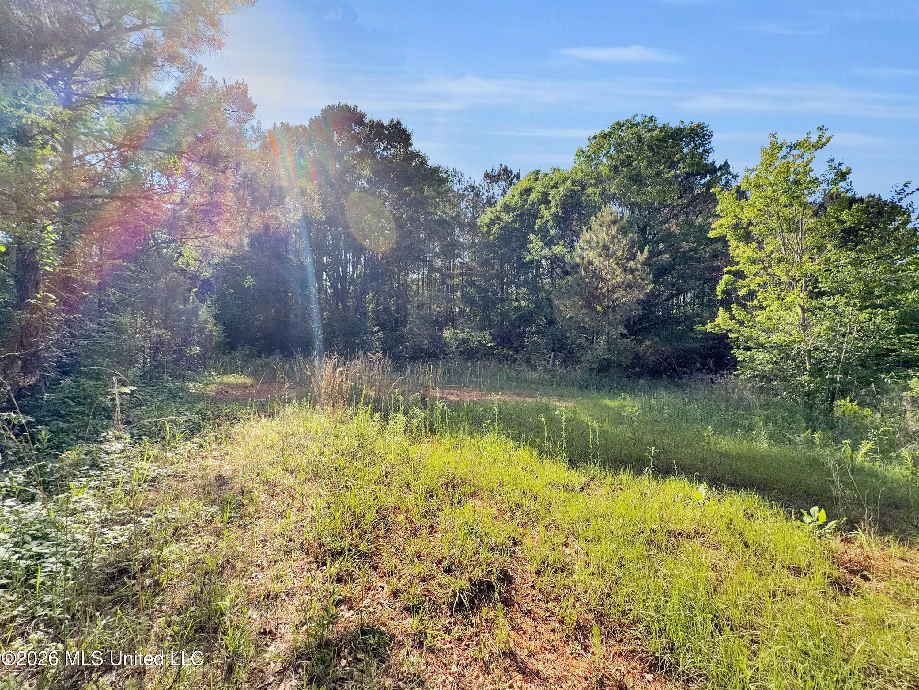 385 Risher Road Carthage, MS 39051 - Photo 2 of 2 b269fa8b-8e0f-44a3-9cd3-d77914524fc3