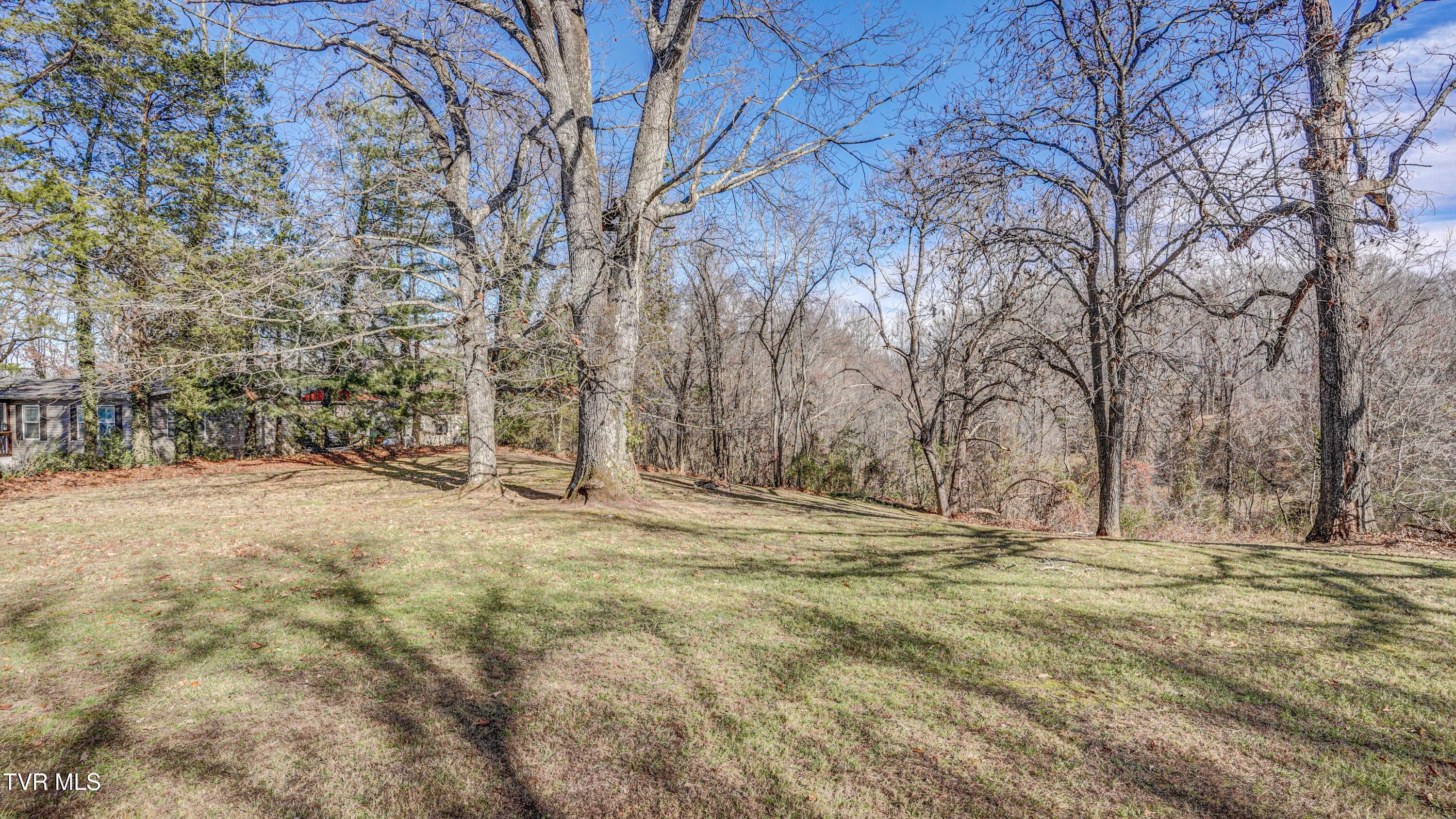 238 Washington College Station Road Limestone, TN 37681 - Photo 9 of 32 DSC02233_4_5_6_7