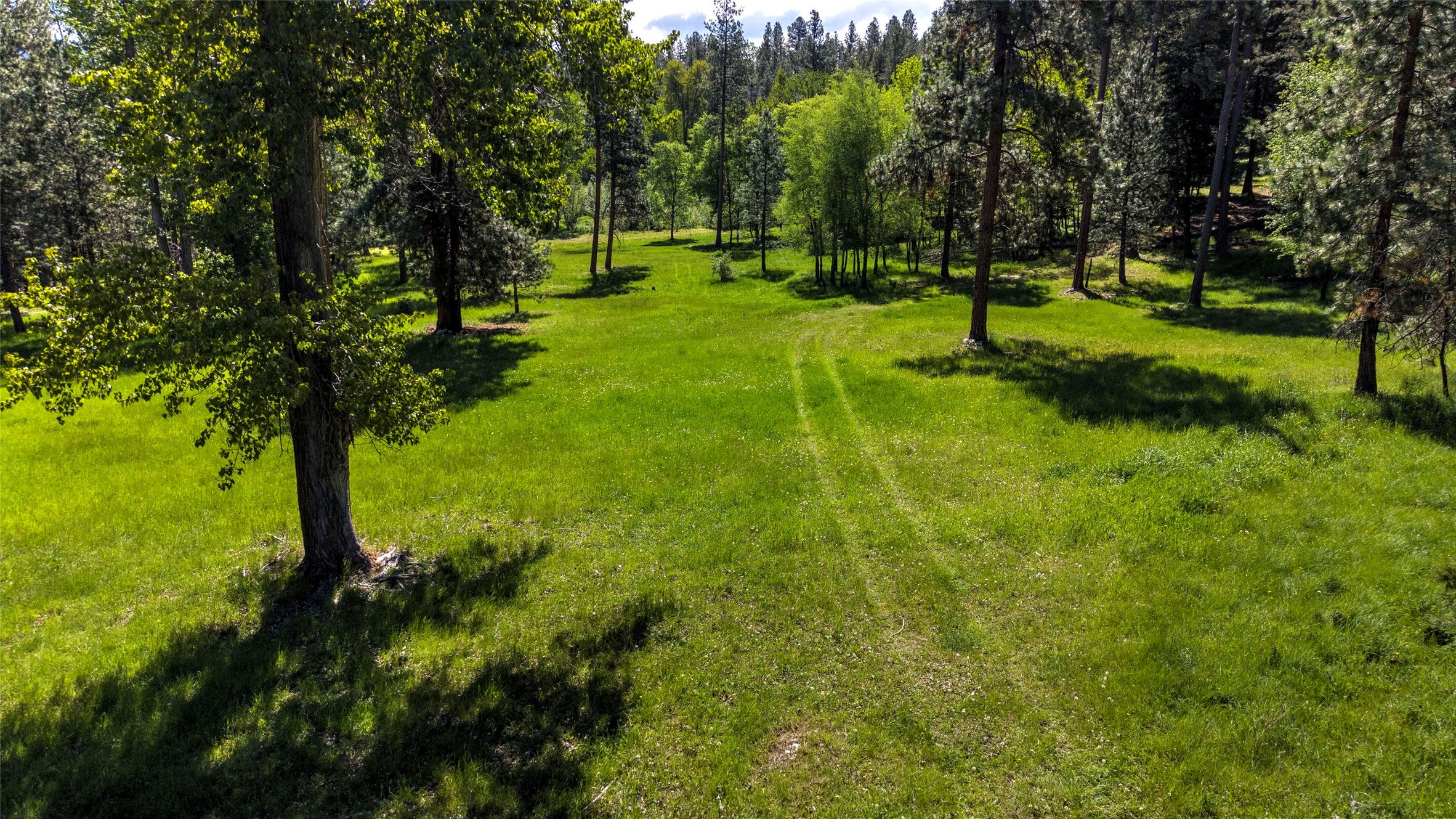 246 Coal Mine Road Darby, MT 59829 - Photo 32 of 135 Gallery Image 32