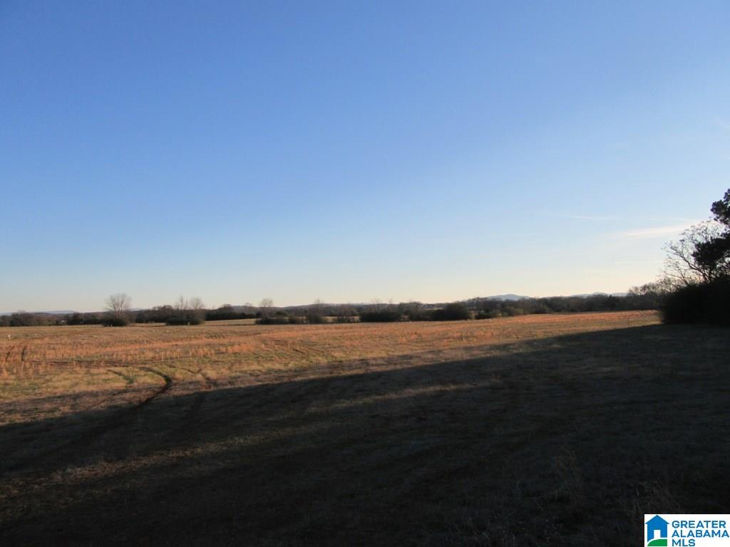 6881 Curry Station Road, Unit 1 Eastaboga, AL 36260 - Photo 3 of 3