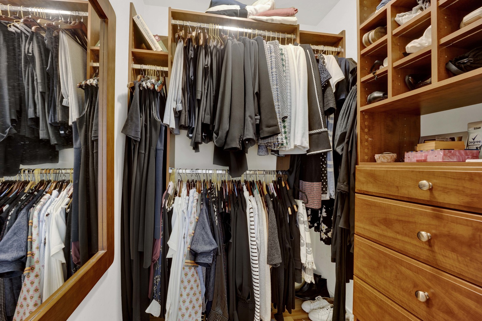 634 West Grace Street, Unit 1E Chicago, IL 60613 - Photo 12 of 26 a view of walk in closet with clothes and shoes