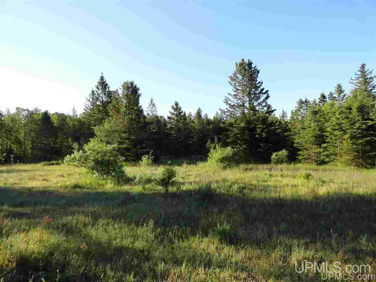 11918 T Road Rapid River, MI 49878 - Photo 5 of 49 Gallery Image 5
