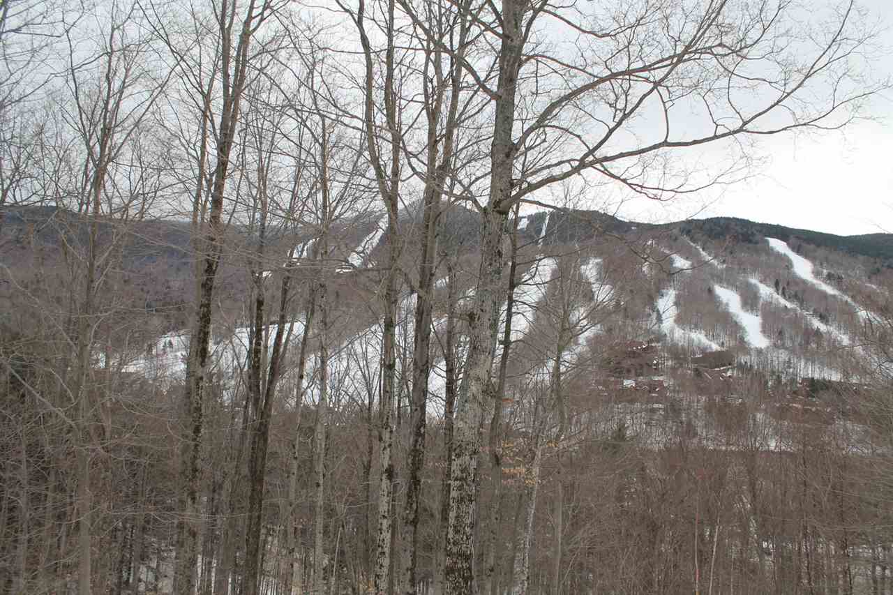 27-3 Big Coolidge Road Lincoln, NH 03251 - Photo 23 of 31 Gallery Image 23