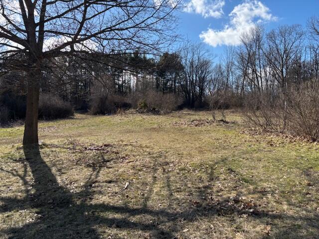 5280 Clark Lake Road Jackson, MI 49201 - Photo 11 of 12 Back Yard
