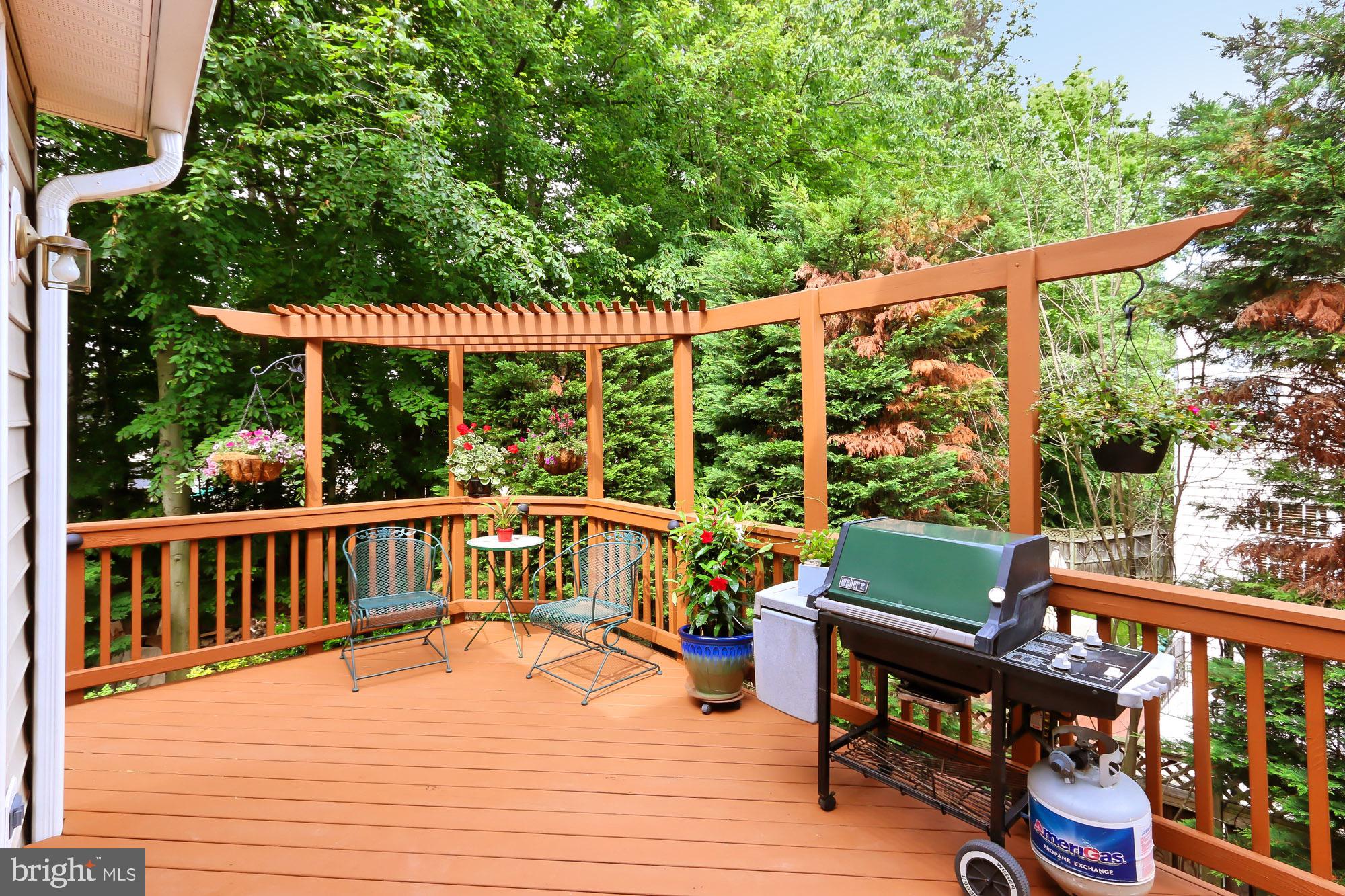 6250 Rolling Spring Court Springfield, VA 22152 - Photo 64 of 79