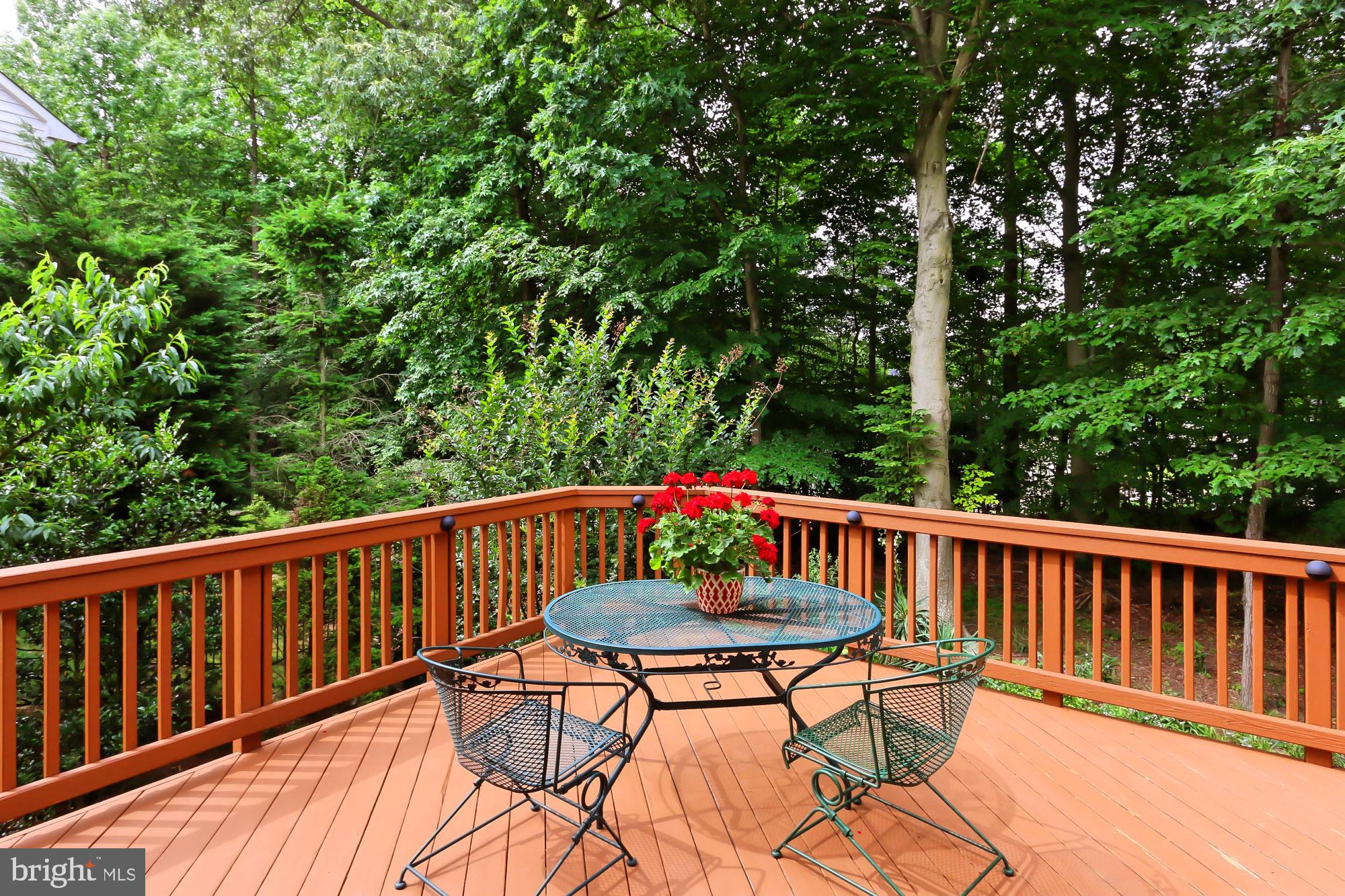 6250 Rolling Spring Court Springfield, VA 22152 - Photo 70 of 79