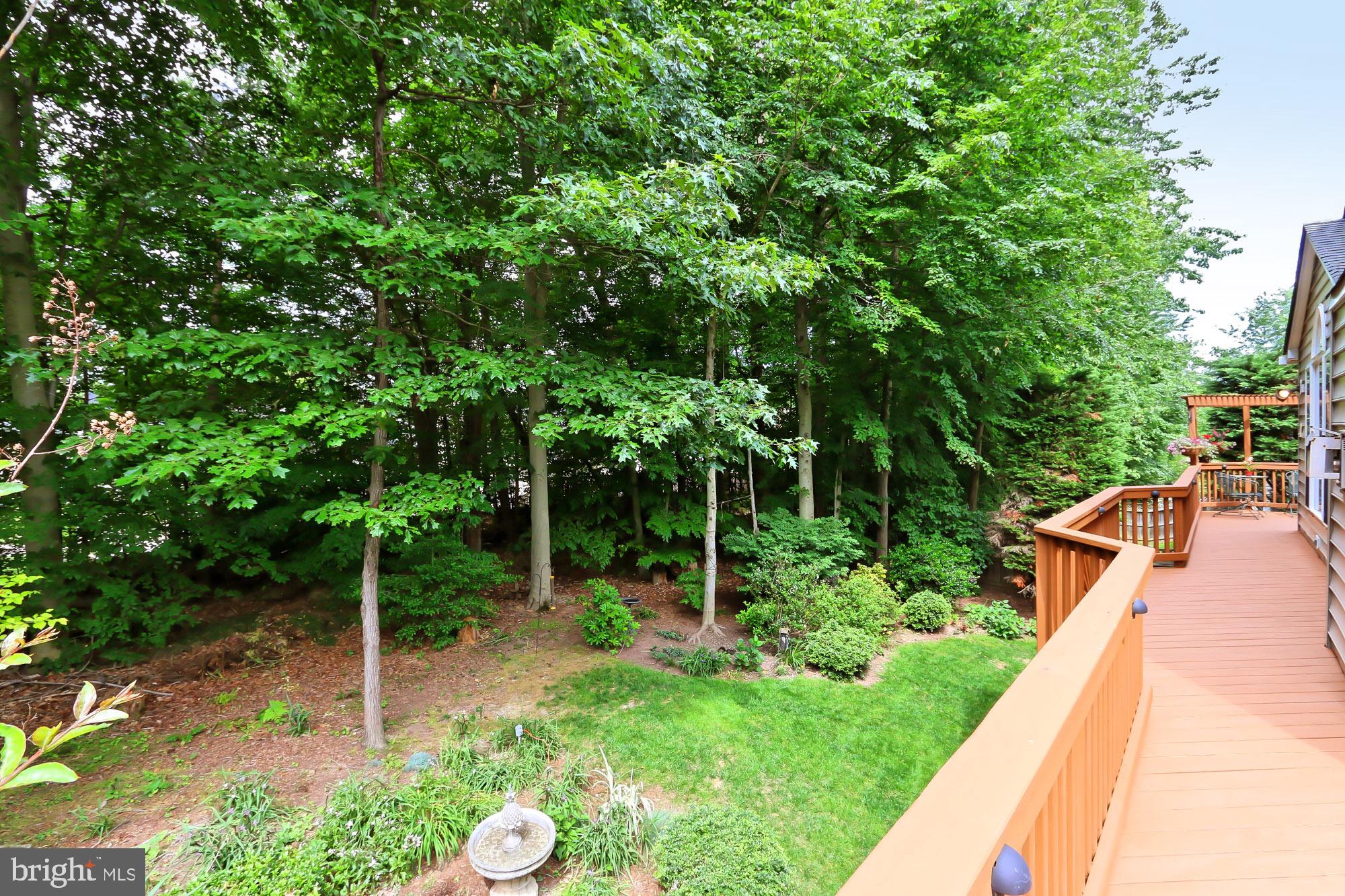 6250 Rolling Spring Court Springfield, VA 22152 - Photo 71 of 79