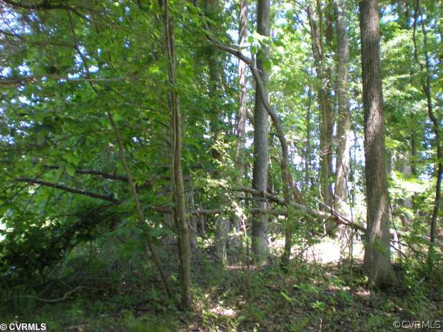 0 Reams Road Powhatan, VA 23139 - Photo 3 of 3 Land/Lot - Interior property view of wooded sectio