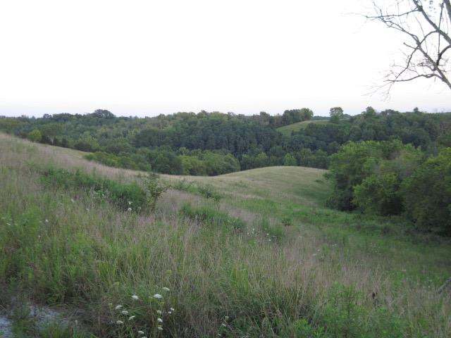 0 Baker Williams Road Corinth, KY 41010 - Photo 4 of 20 Gallery Image 4