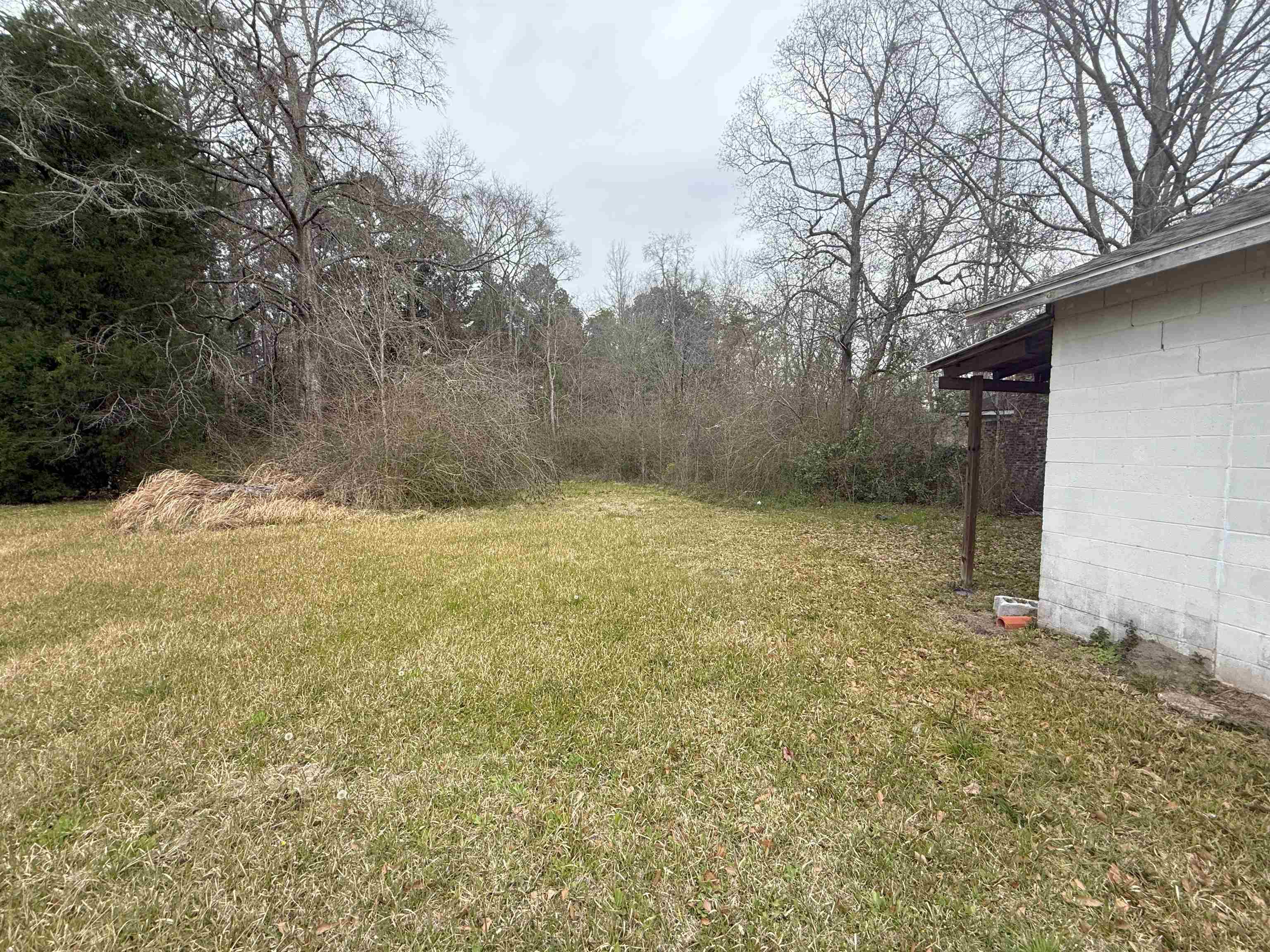 1166 Military Road Mount Vernon, AL 36560 - Photo 9 of 9 Yard