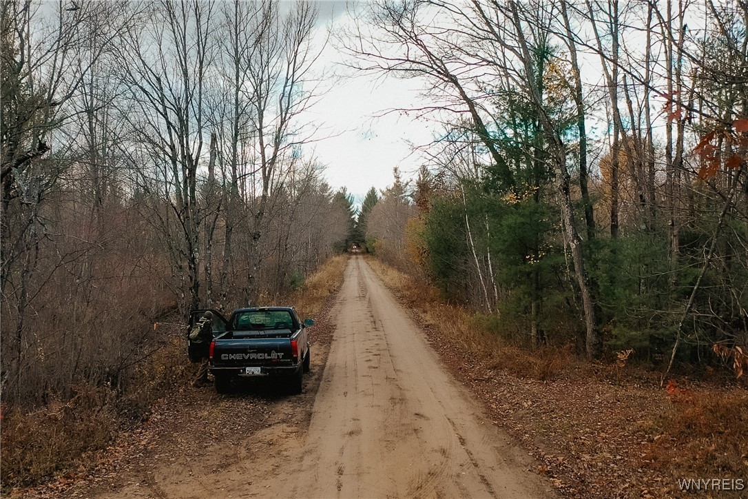 Smith Road Brasher Falls, NY 13613 - Photo 3 of 10