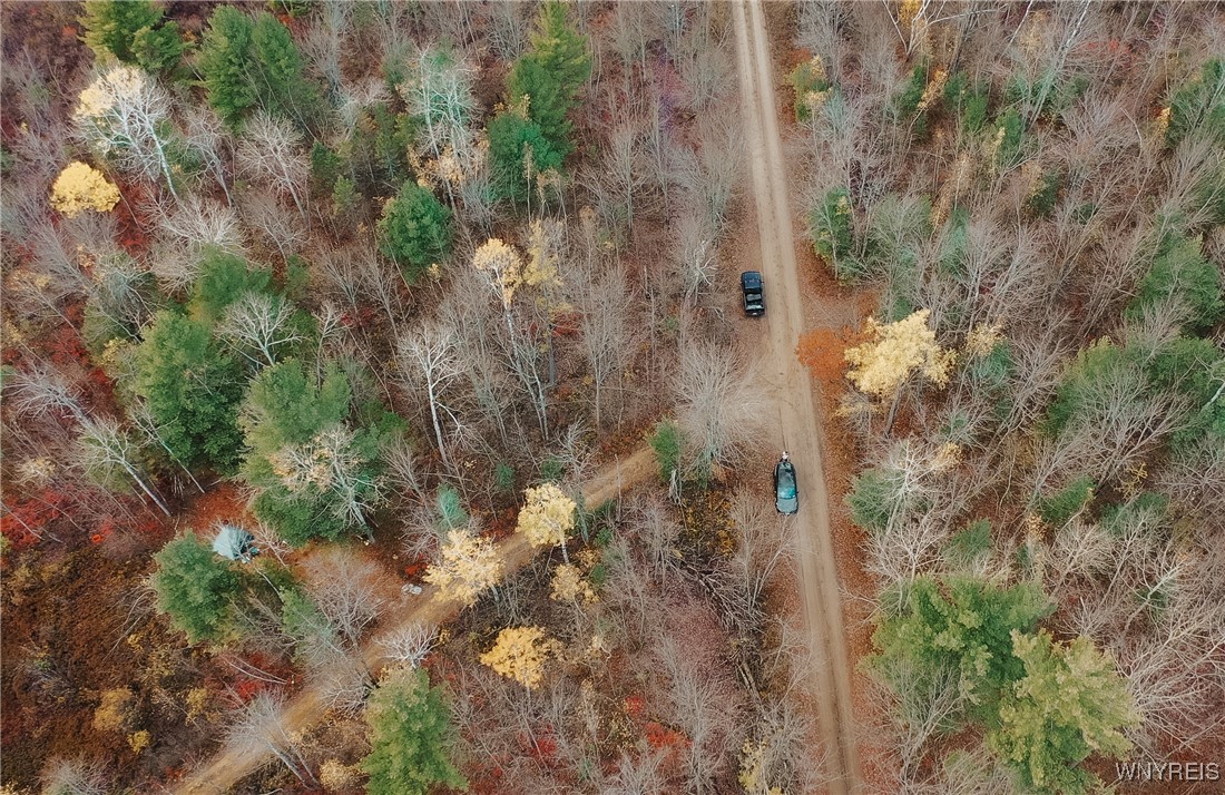 Smith Road Brasher Falls, NY 13613 - Photo 4 of 10