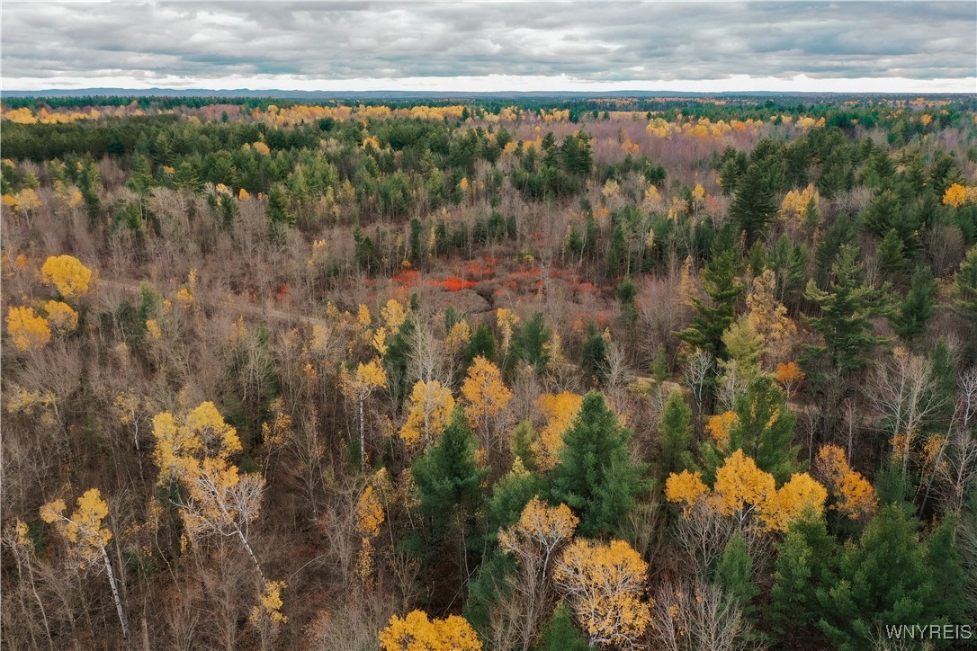 Smith Road Brasher Falls, NY 13613 - Photo 5 of 10